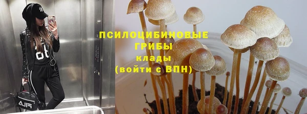 мет Карпинск