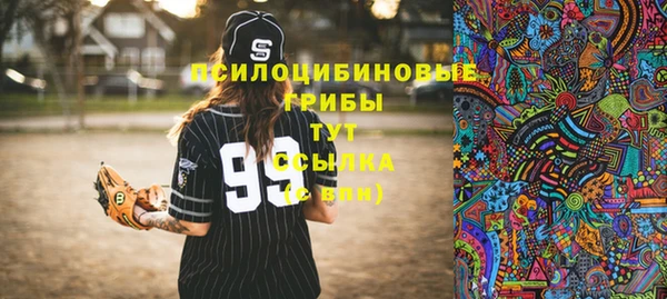 мет Карпинск