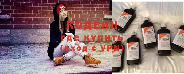 дживик Козельск