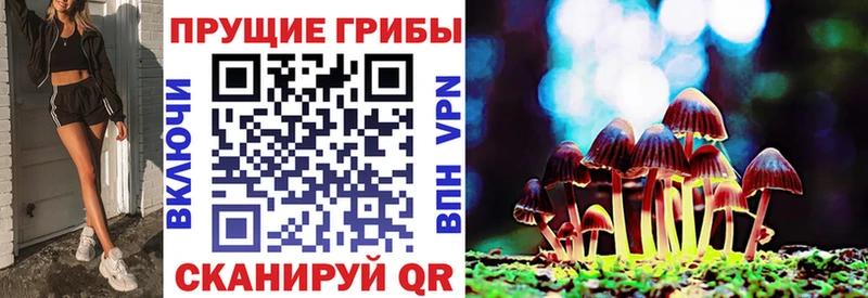 Купить закладки  Баймак  Псилоцибиновые грибы ЛСД 